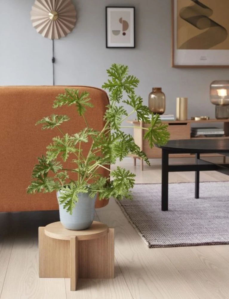 Hubsch Wandlamp Textiel Metaal - Zand/messing - Afbeelding 4